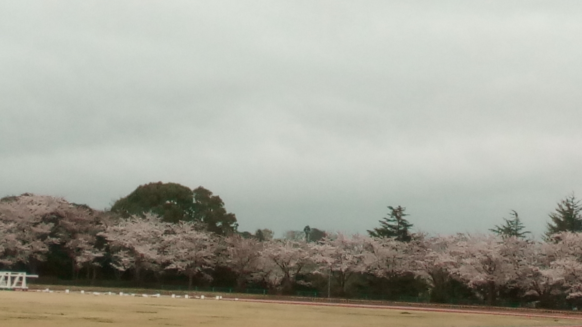 f:id:nantyatteojisan:20200329210106j:plain f:id:nantyatteojisan:20200329210106j:plain