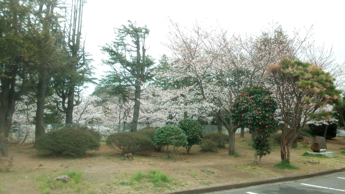 f:id:nantyatteojisan:20200329210125j:plain f:id:nantyatteojisan:20200329210125j:plain