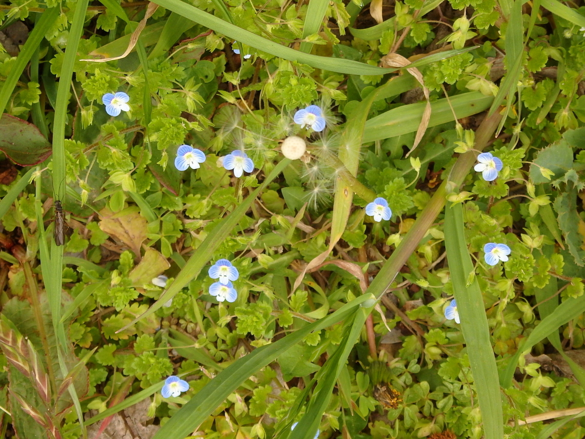 f:id:nantyatteojisan:20210321105345j:plain