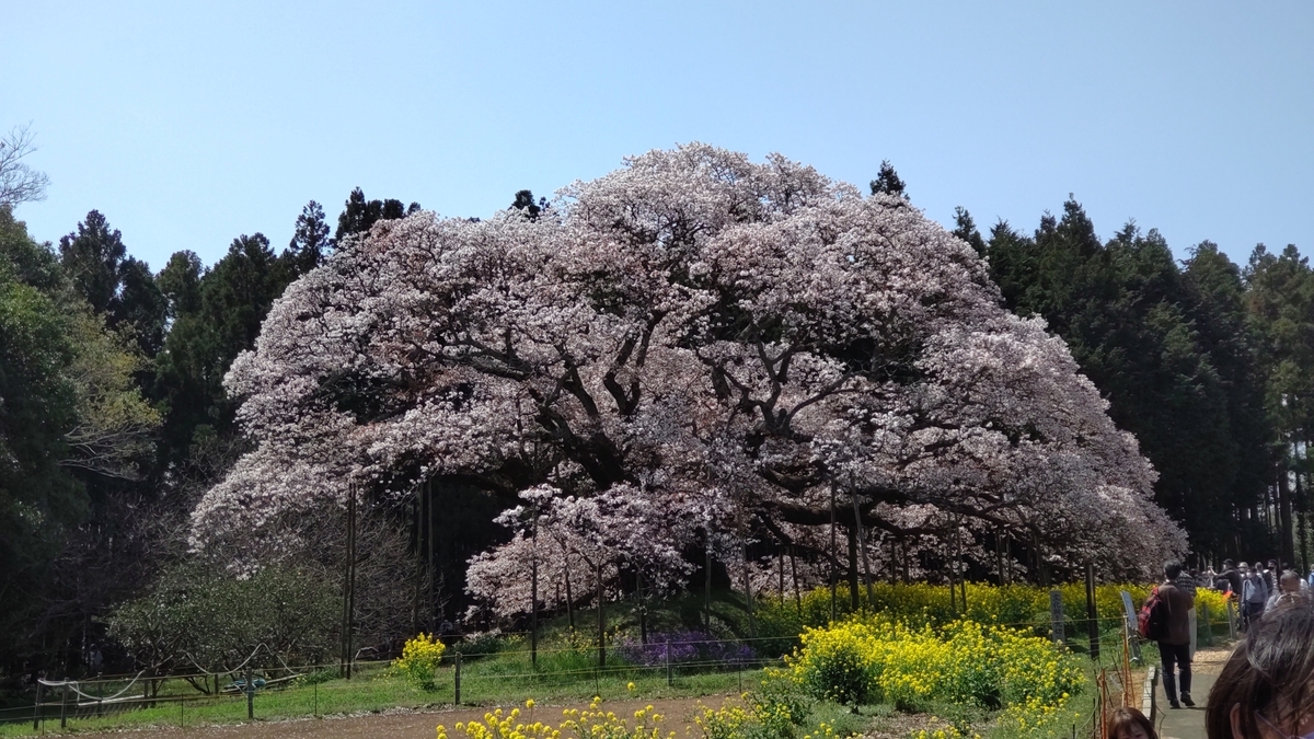 f:id:nantyatteojisan:20220413150655j:plain