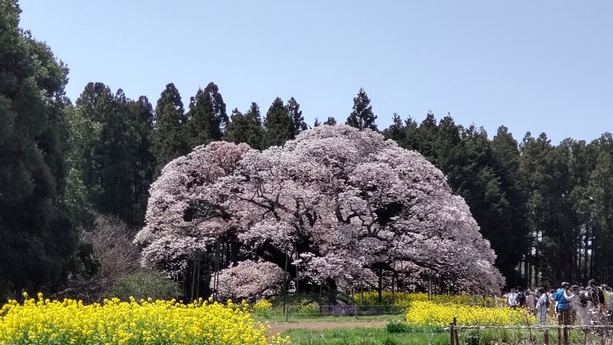 f:id:nantyatteojisan:20220413150712j:plain