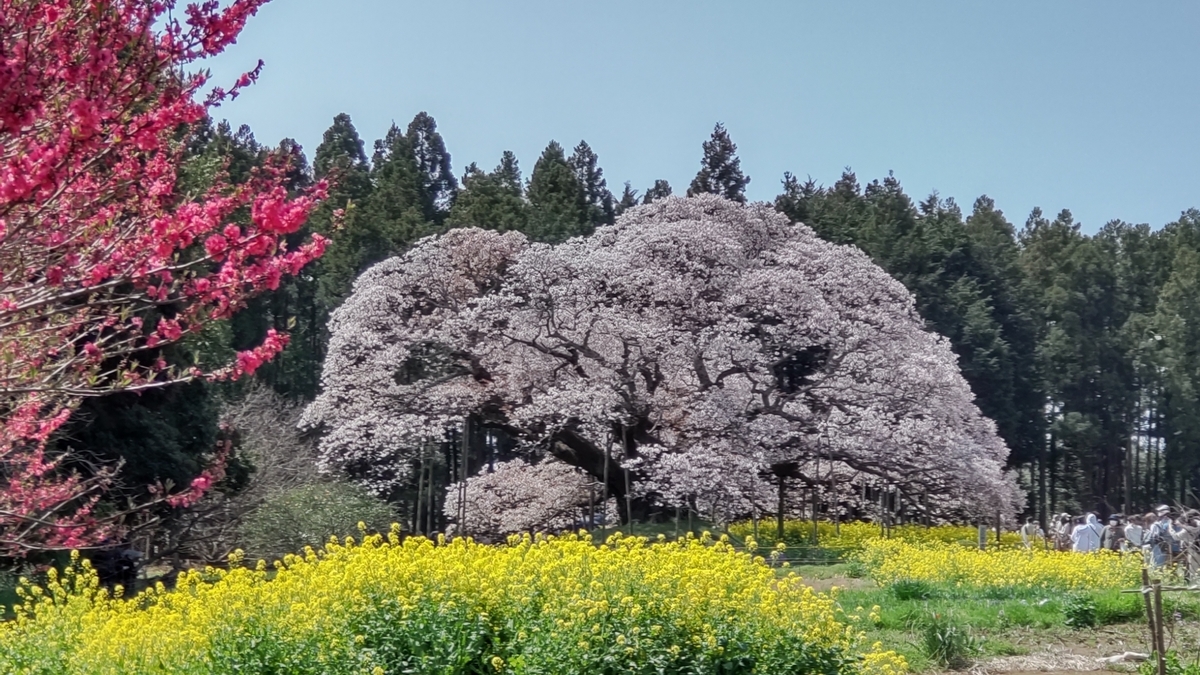 f:id:nantyatteojisan:20220413150729j:plain