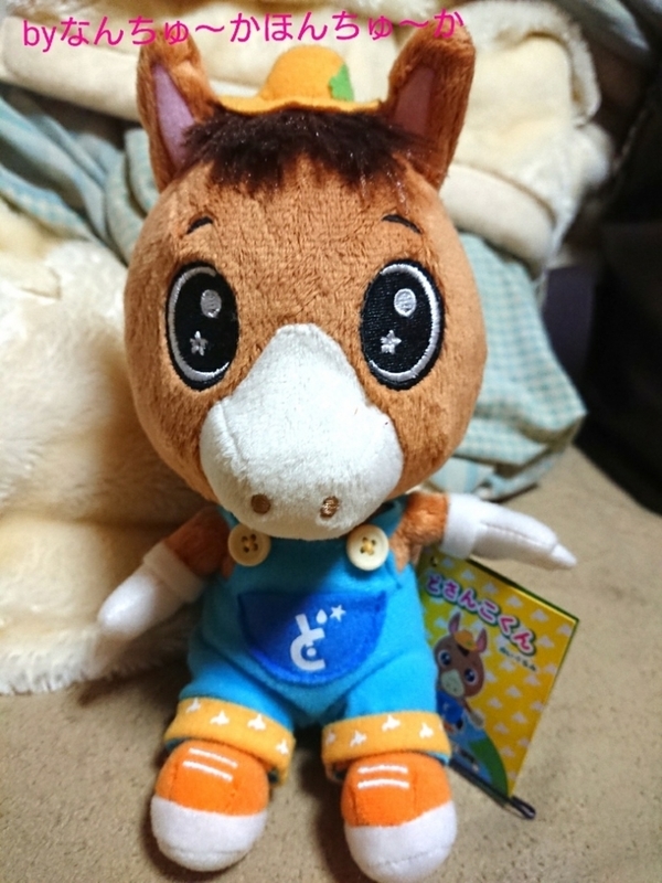 馬好きのぜひどさんこくんを いえ 馬好きじゃなくてもヨロシクです ふーん W ほう W な話