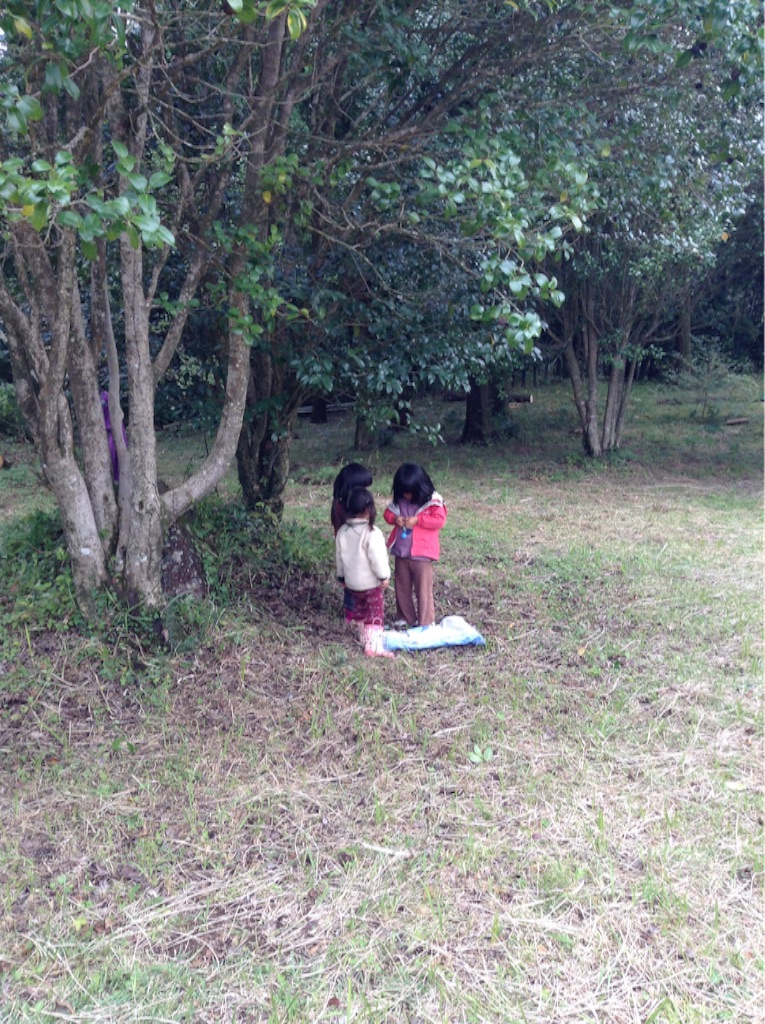 f:id:nanv:20161018221537j:image f:id:nanv:20161018221537j:image