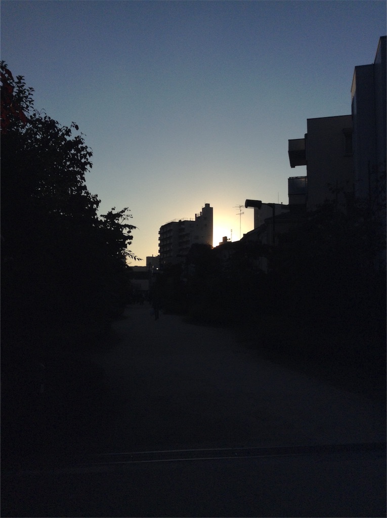 f:id:nanv:20161109193903j:image f:id:nanv:20161109193903j:image