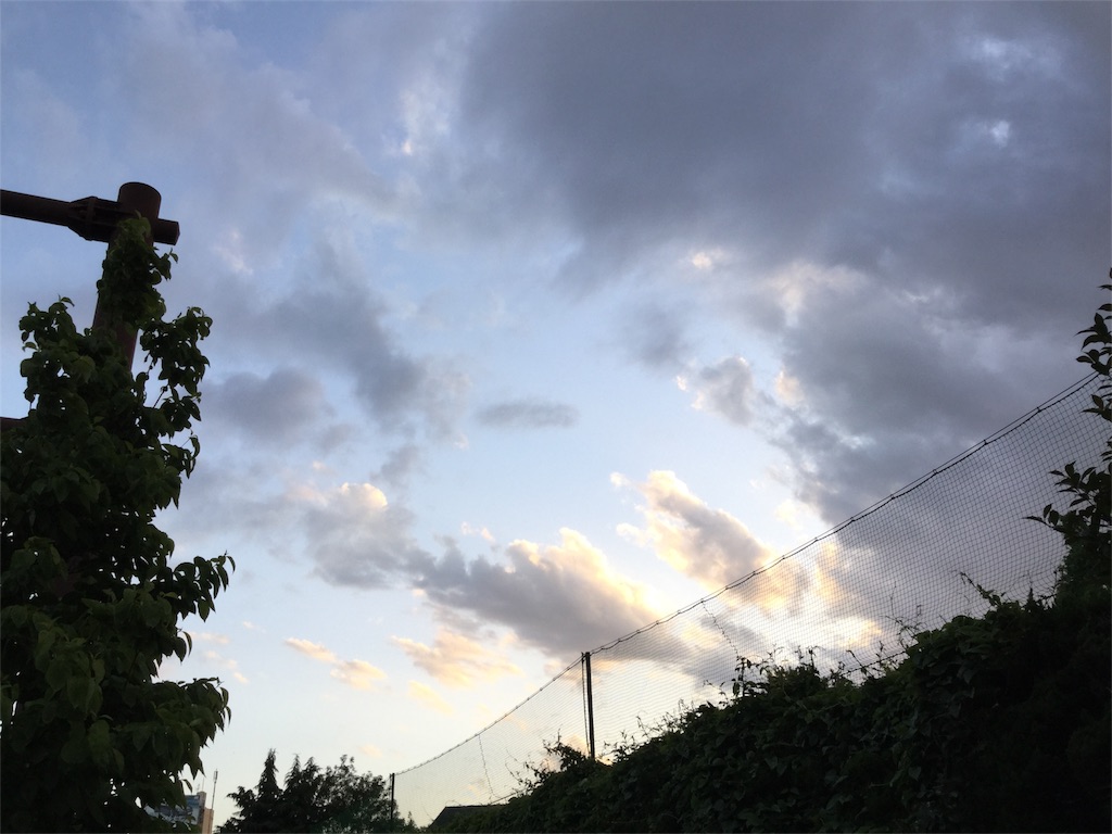 f:id:nanv:20180530065344j:image f:id:nanv:20180530065344j:image