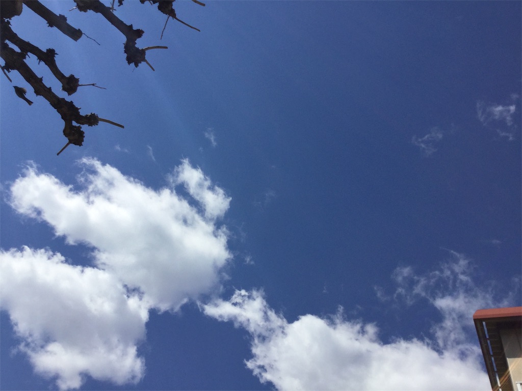 f:id:nanv:20190313074812j:image f:id:nanv:20190313074812j:image