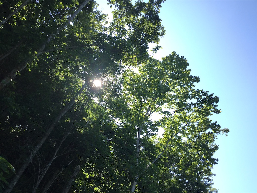 f:id:nanv:20190711091050j:image f:id:nanv:20190711091050j:image
