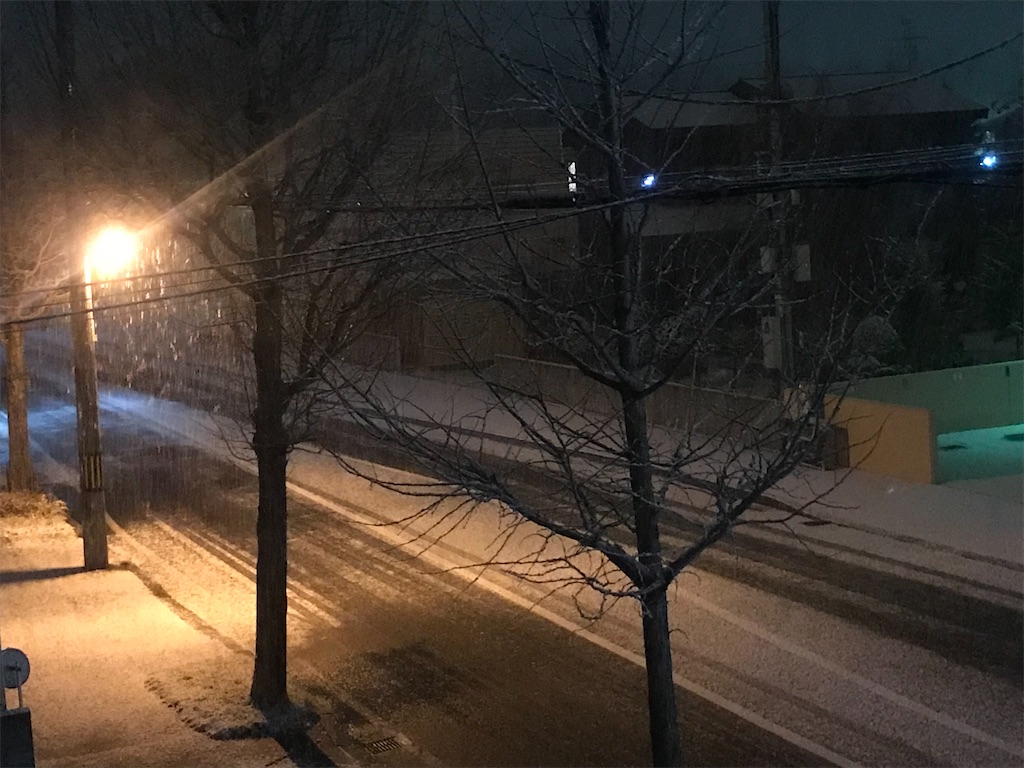 f:id:nanv:20211214104433j:image