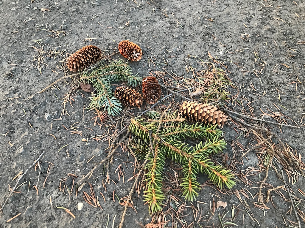 f:id:nanv:20220406074905j:image