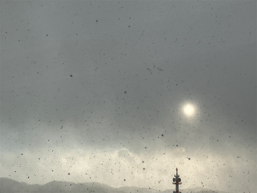 f:id:nanv:20240220220008j:image