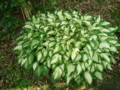 20120513071235