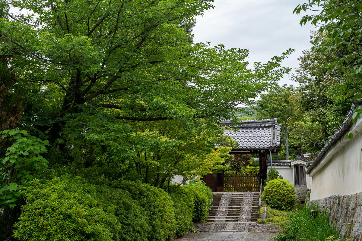 f:id:nao003a:20200607015026j:plain