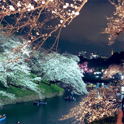 f:id:nao0920:20190331182025j:image f:id:nao0920:20190331182025j:image
