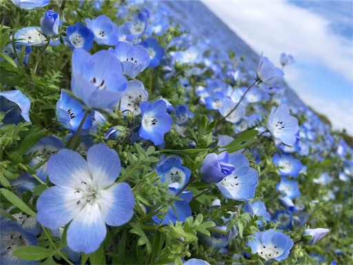 f:id:nao0920:20190502075258j:image f:id:nao0920:20190502075258j:image