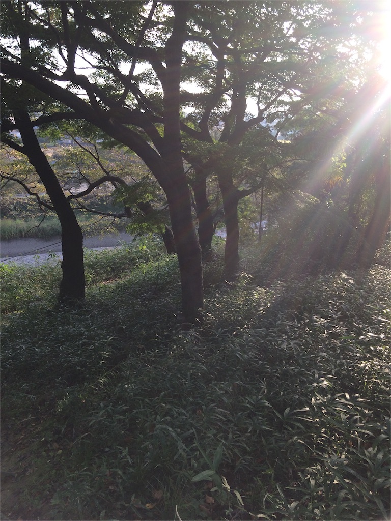 f:id:nao0o0an:20161016073857j:image f:id:nao0o0an:20161016073857j:image