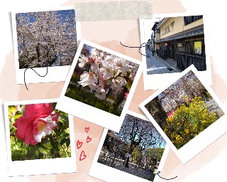f:id:nao15-0:20230331154058j:image