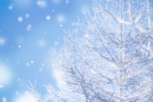 1_snow
