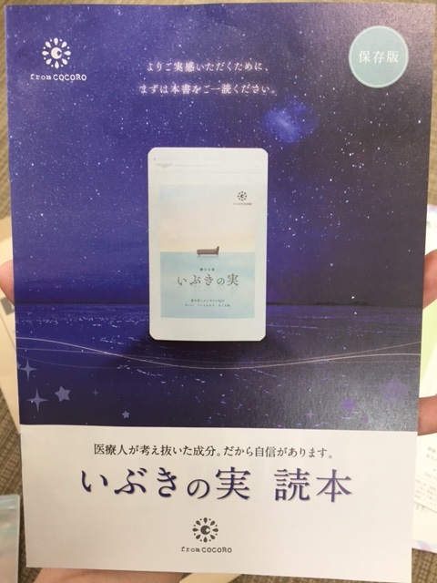 f:id:nao705115:20170626130009j:plain f:id:nao705115:20170626130009j:plain