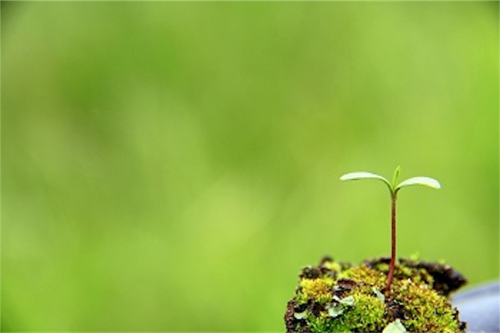 f:id:nao_333:20180713234314j:image