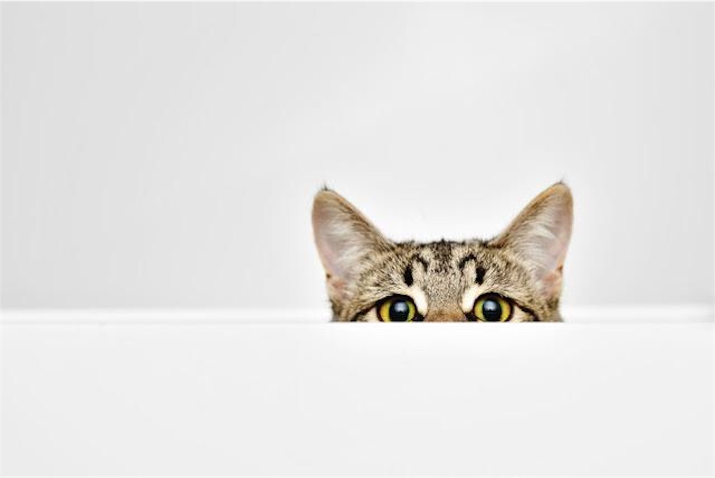 f:id:nao_333:20180718062611j:image