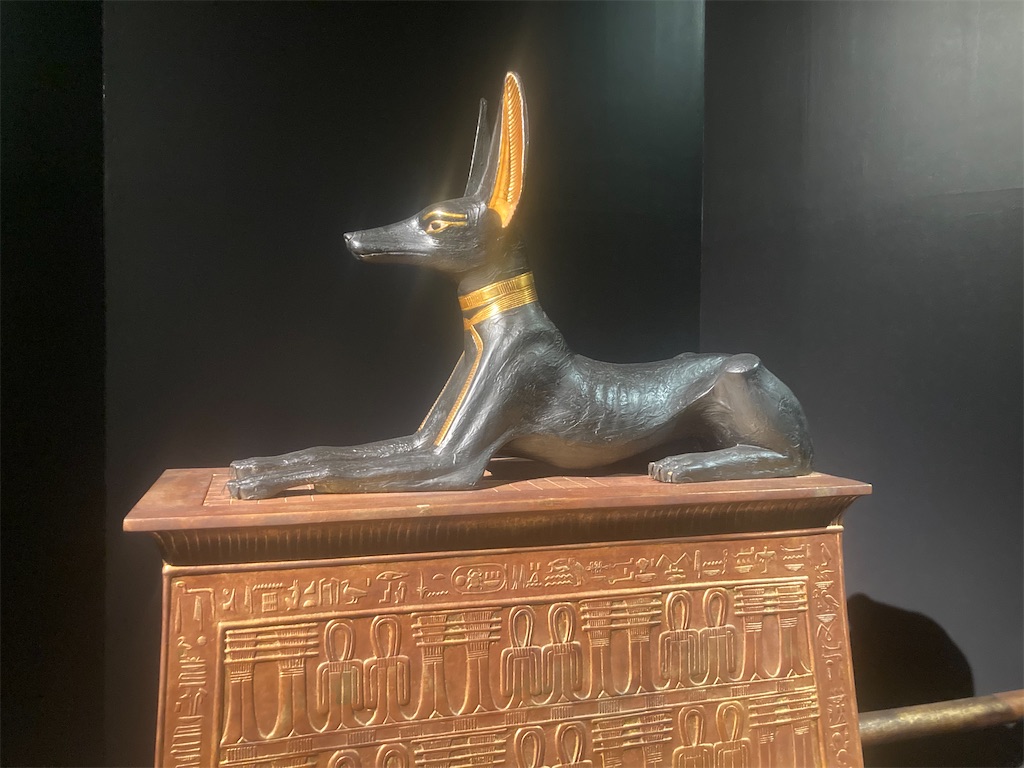 f:id:nao_aristocrat:20250907165342j:image