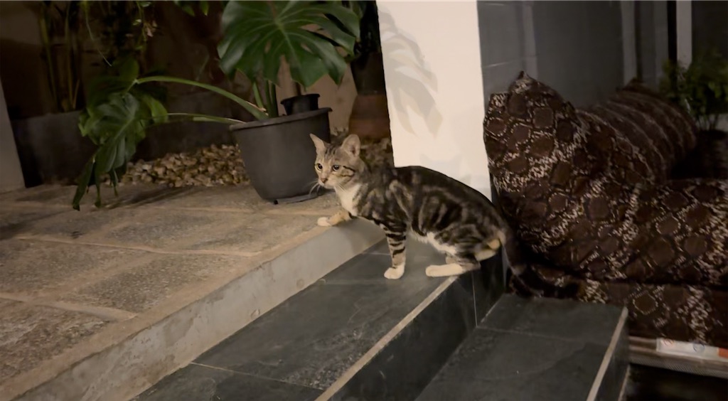 f:id:nao_trip:20241102103626j:image f:id:nao_trip:20241102103626j:image