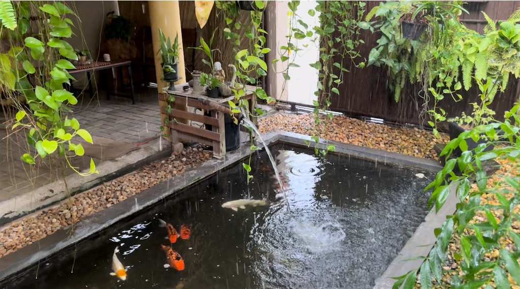 f:id:nao_trip:20241102103645j:image f:id:nao_trip:20241102103645j:image