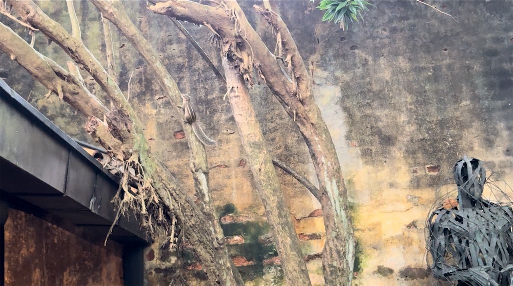 f:id:nao_trip:20241112201011j:image