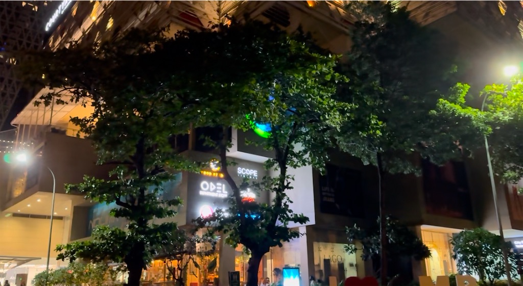 f:id:nao_trip:20241214072406j:image