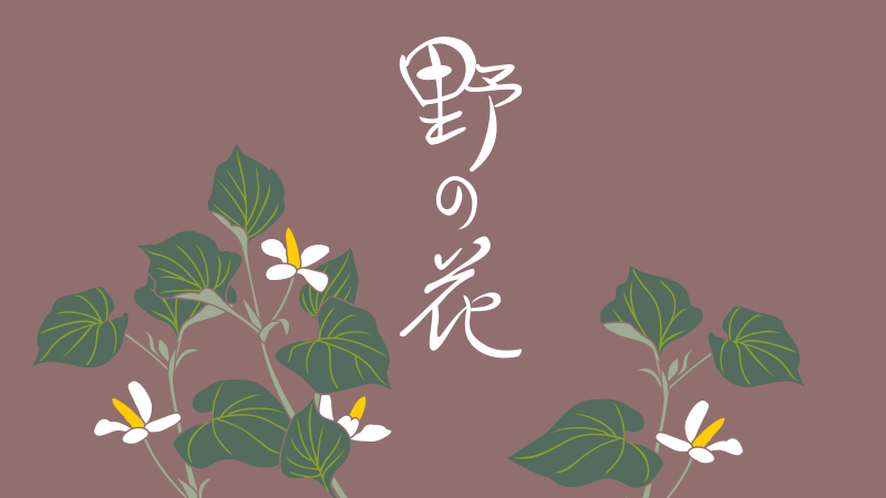 野の花のイラスト やへむぐら 季節のイラスト