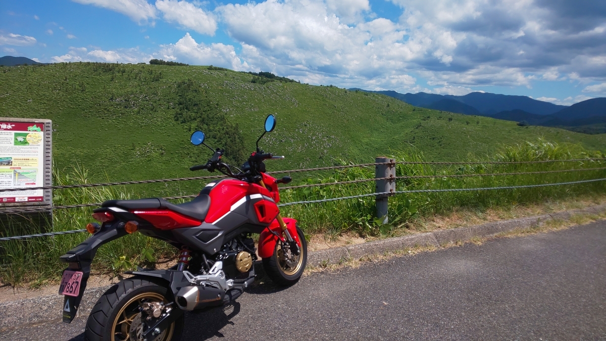f:id:naobitter:20190911043051j:plain f:id:naobitter:20190911043051j:plain