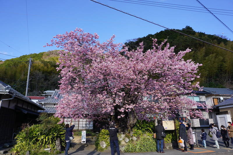 f:id:naoblog85:20220108161403j:plain