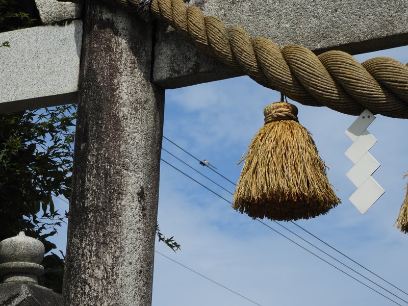 f:id:naocorda:20180925170932j:plain