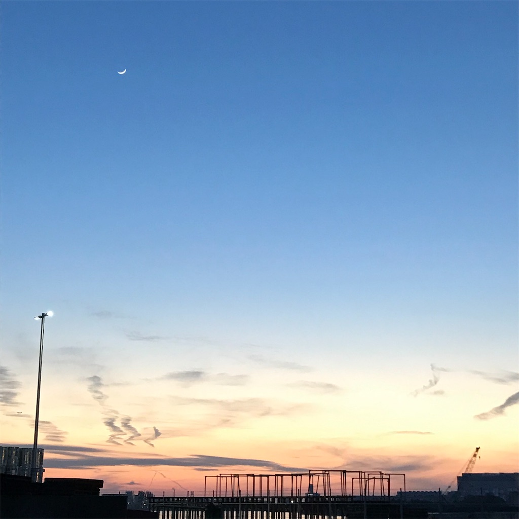 f:id:naodan:20190310032814j:image f:id:naodan:20190310032814j:image