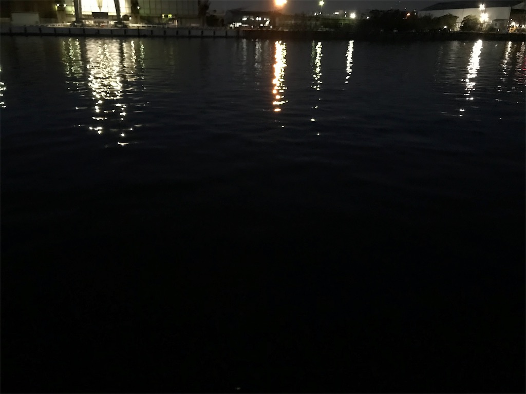 f:id:naodan:20190310034014j:image f:id:naodan:20190310034014j:image