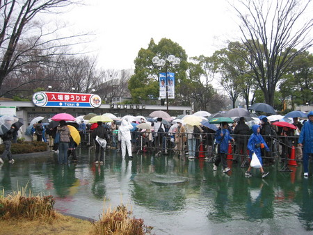 f:id:naohosk:20080320120427j:image f:id:naohosk:20080320120427j:image