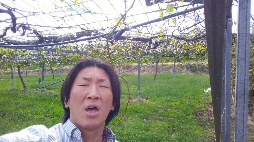 f:id:naoki-nishigaki:20181014214936j:plain