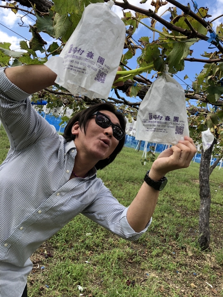 f:id:naoki-nishigaki:20181014215100j:plain