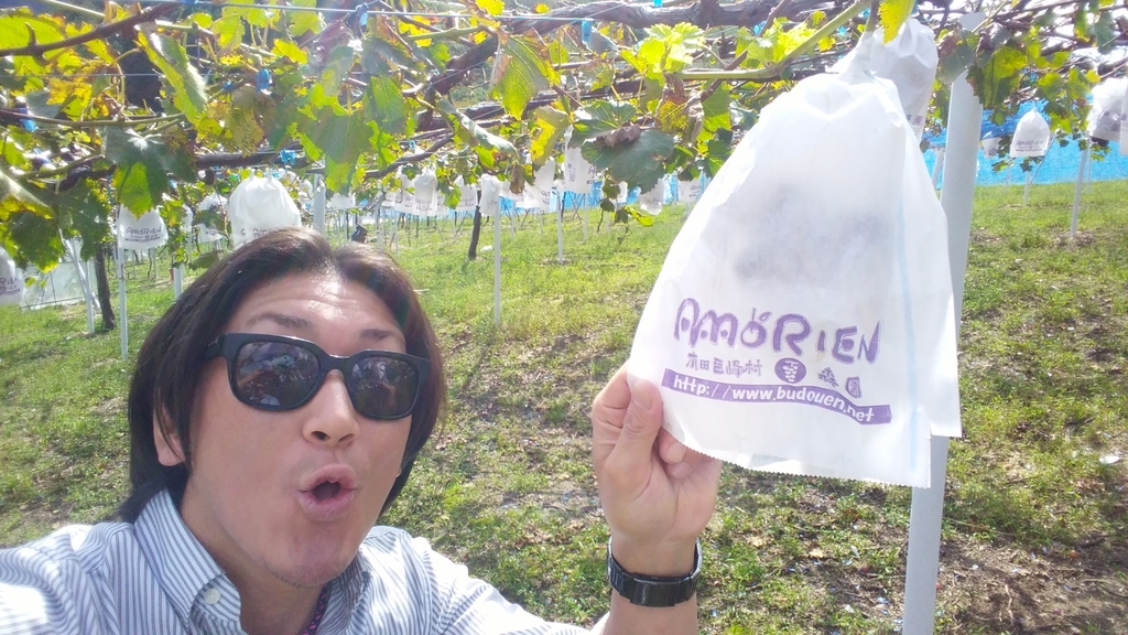 f:id:naoki-nishigaki:20181014220019j:plain