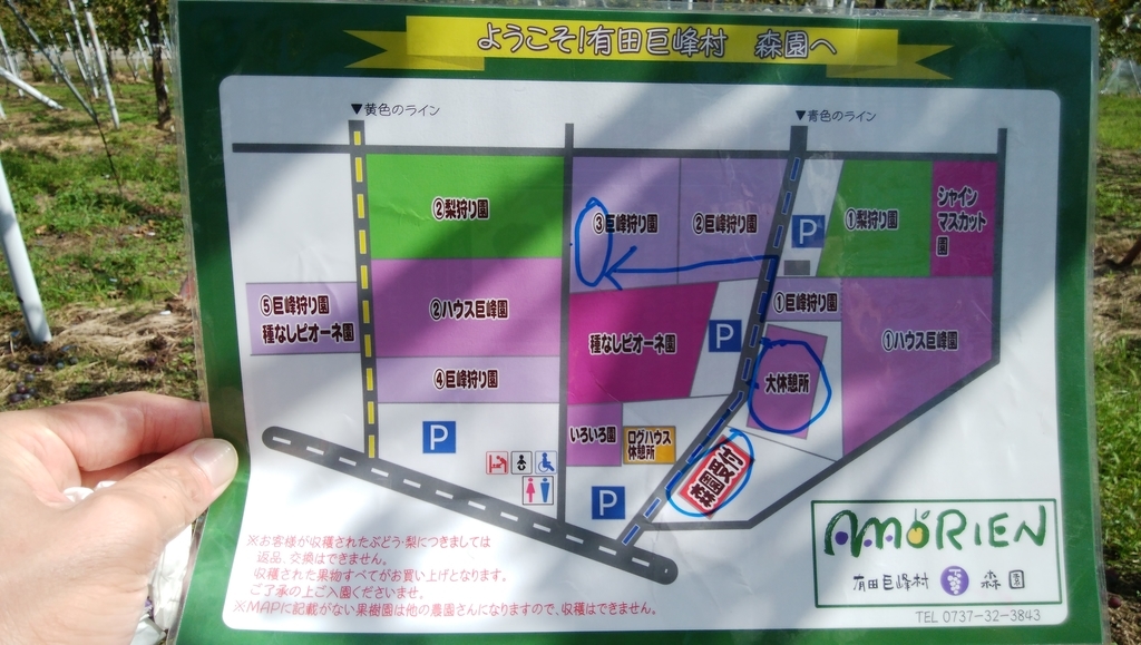 f:id:naoki-nishigaki:20181014220921j:plain