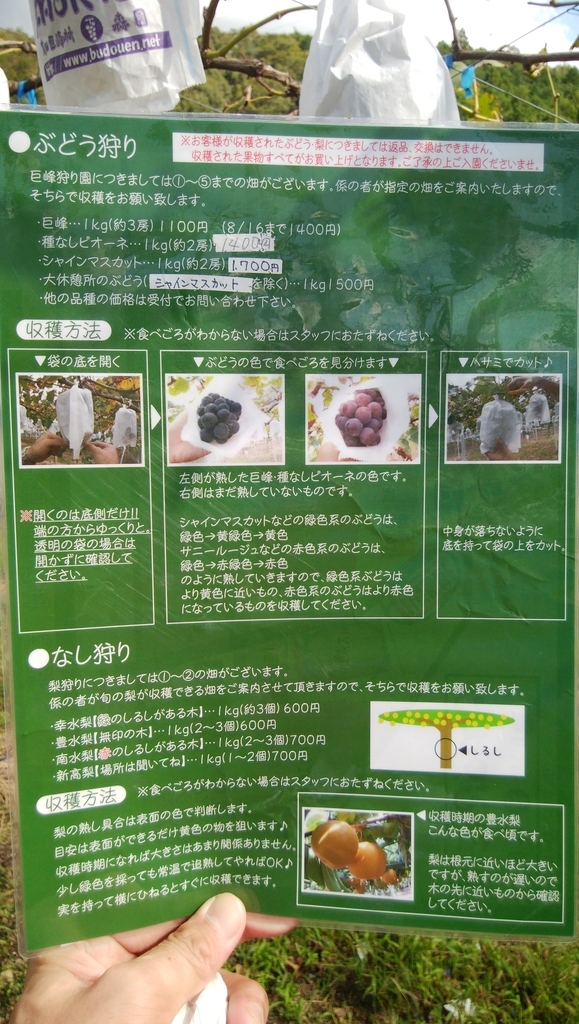 f:id:naoki-nishigaki:20181014220953j:plain