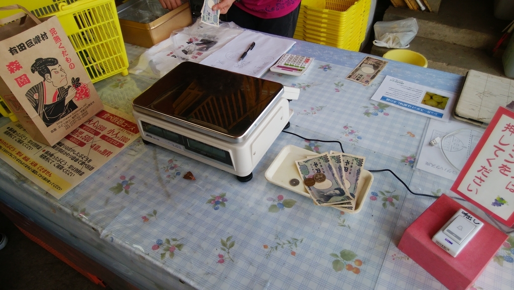 f:id:naoki-nishigaki:20181014221230j:plain