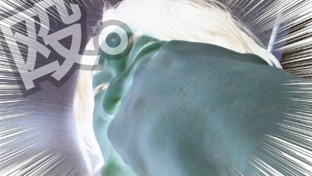 f:id:naoki-nishigaki:20181220200717j:plain