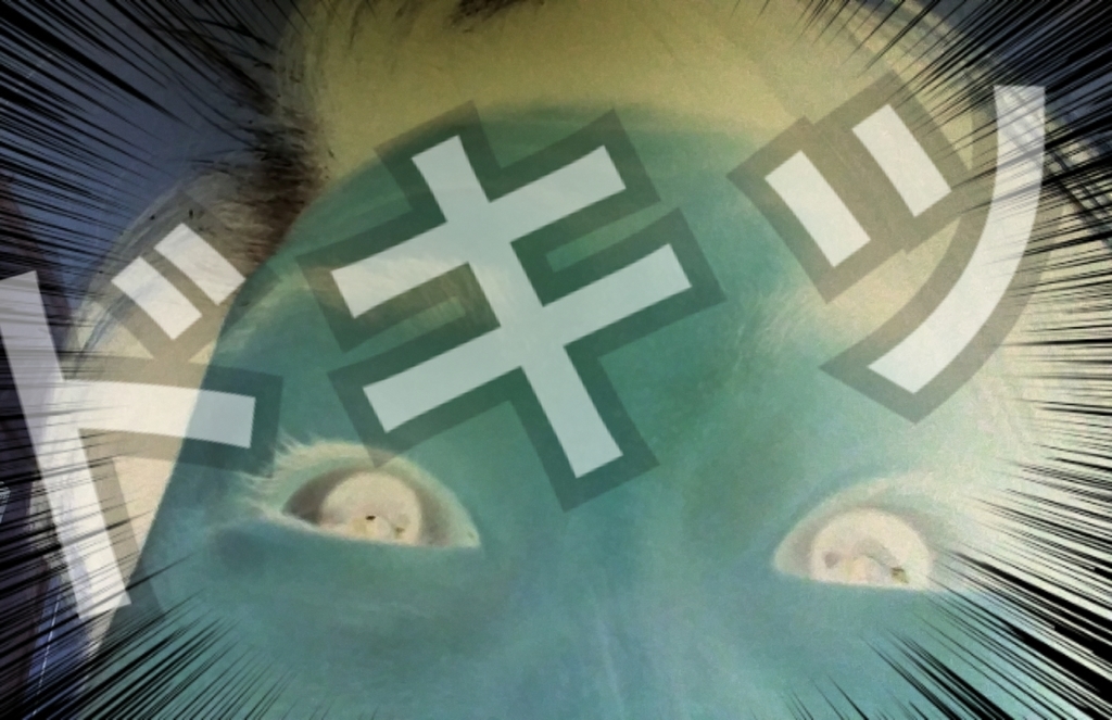 f:id:naoki-nishigaki:20181220203327j:plain