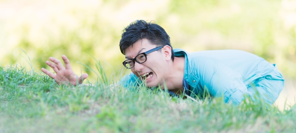 f:id:naoki-nishigaki:20190102215340j:plain