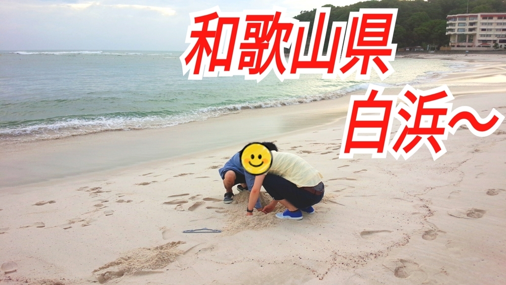 f:id:naoki-nishigaki:20190104184739j:plain