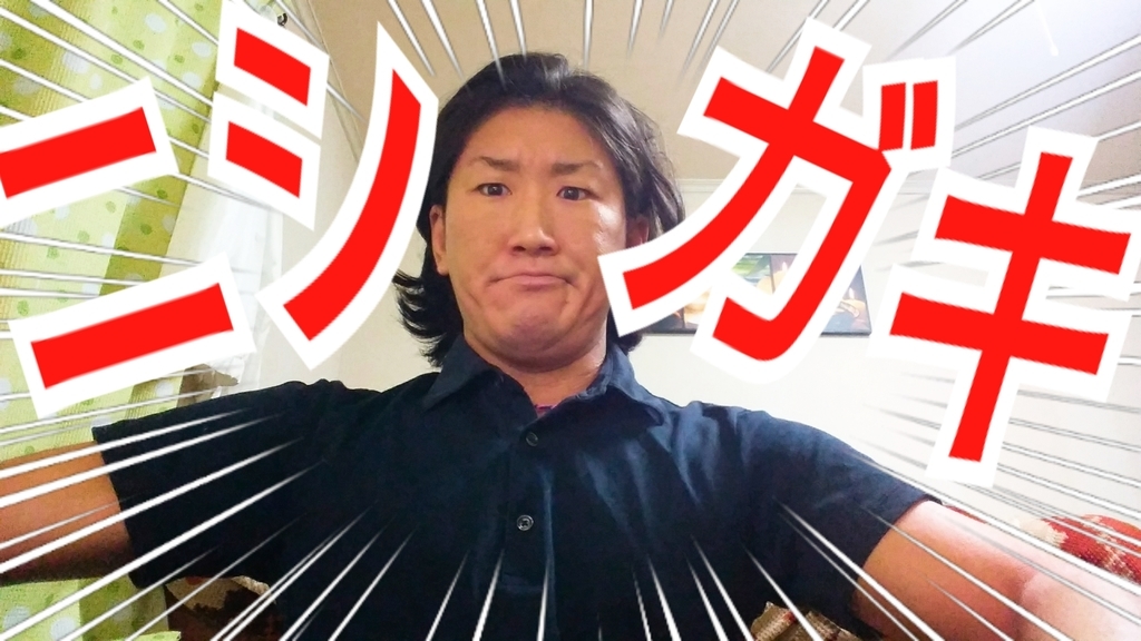 f:id:naoki-nishigaki:20190107230024j:plain f:id:naoki-nishigaki:20190107230024j:plain