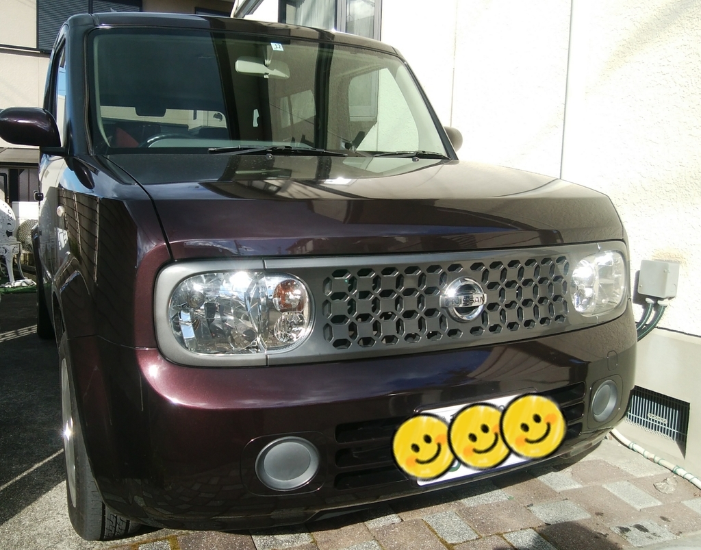 f:id:naoki-nishigaki:20190115025205j:plain