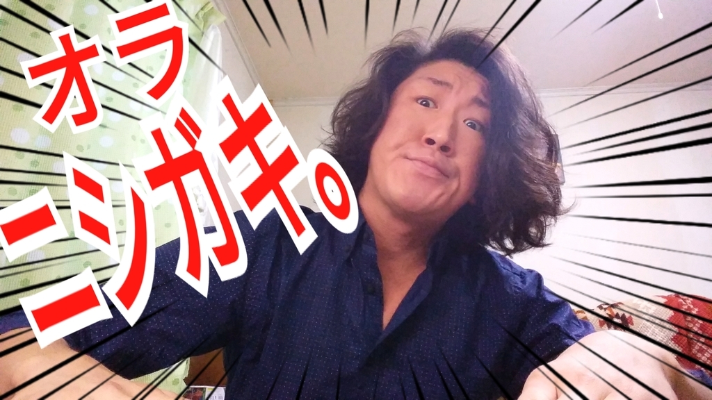 f:id:naoki-nishigaki:20190115210218j:plain